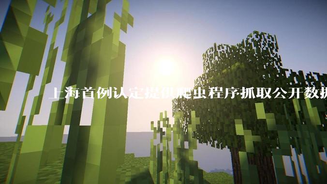 上海首例认定提供爬虫程序抓取公开数据构成提供侵入计算机信息系统程序罪案，该案件有哪些细节值得关注？
