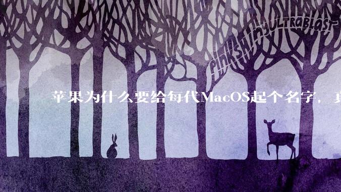 苹果为什么要给每代MacOS起个名字，真以为人们记得住分得清吗？