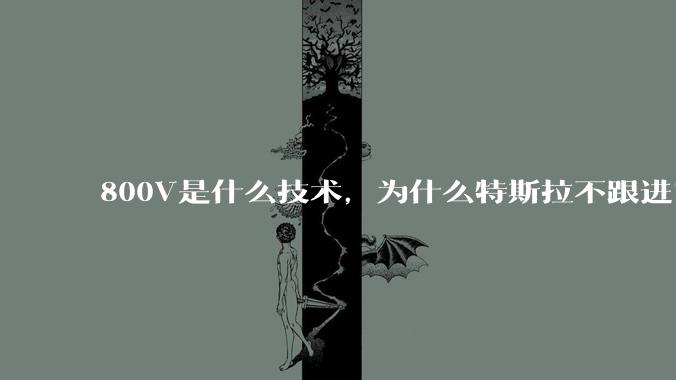 800V是什么技术，为什么特斯拉不跟进？