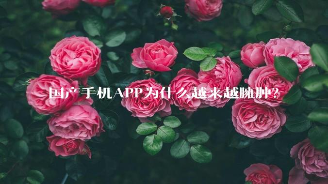 国产手机APP为什么越来越臃肿？