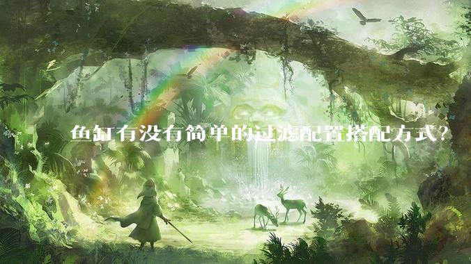鱼缸有没有简单的过滤配置搭配方式？