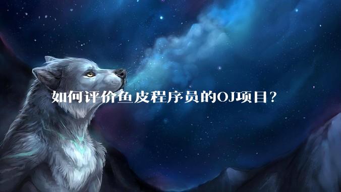 如何评价鱼皮程序员的OJ项目？
