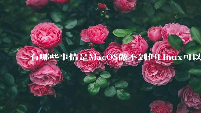有哪些事情是MacOS做不到但Linux可以做到的？