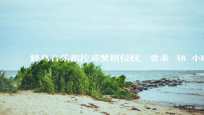 蜂鸟音乐指控邓紫棋侵权，要求 48 小时内下架重录歌曲，邓紫棋回应「不会下架」，这一指控合理吗？