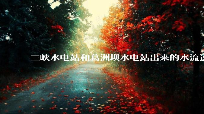 三峡水电站和葛洲坝水电站出来的水流速还不小，为什么不把其利用起来发电？?