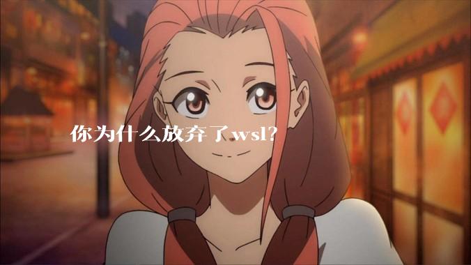 你为什么放弃了wsl？