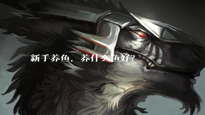 新手养鱼，养什么鱼好？