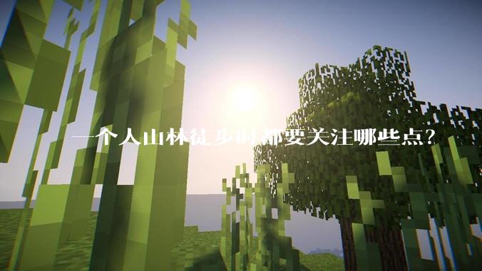 一个人山林徒步时都要关注哪些点？