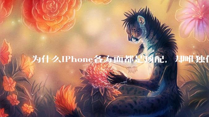 为什么iPhone各方面都是顶配，却唯独信号不好？