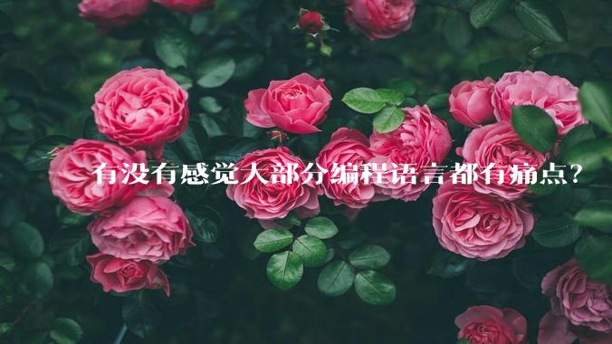 有没有感觉大部分编程语言都有痛点？