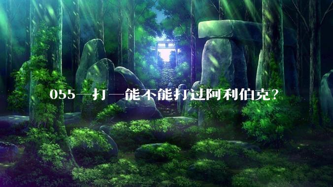 055一打一能不能打过阿利伯克？