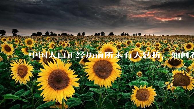 中国人口正经历前所未有大转折，如何看待中国人口负增长？应该怎样应对？