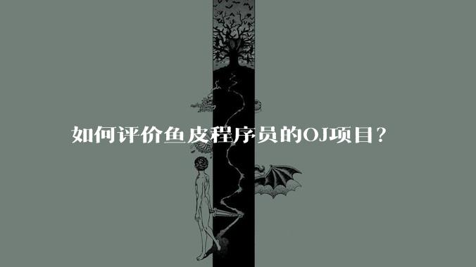 如何评价鱼皮程序员的OJ项目？