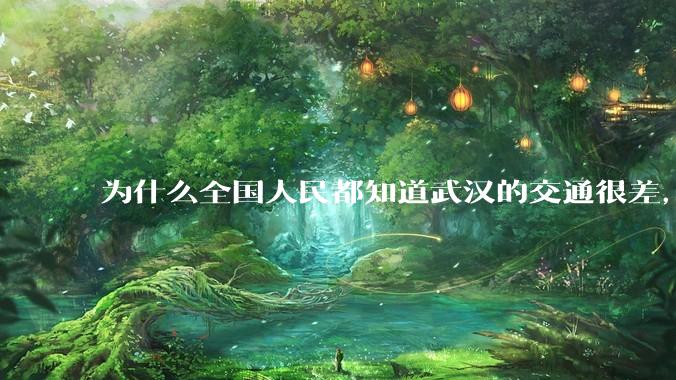 为什么全国人民都知道武汉的交通很差，但是武汉人不知道？