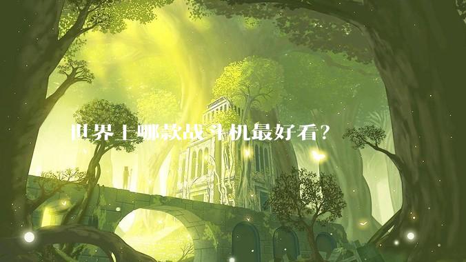 世界上哪款战斗机最好看？