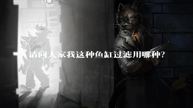 请问大家我这种鱼缸过滤用哪种？