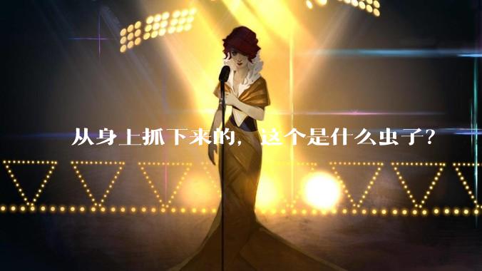 从身上抓下来的，这个是什么虫子？