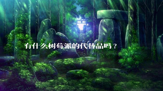 有什么树莓派的代替品吗?