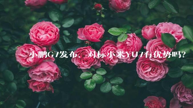 小鹏G7发布，对标小米YU7有优势吗？