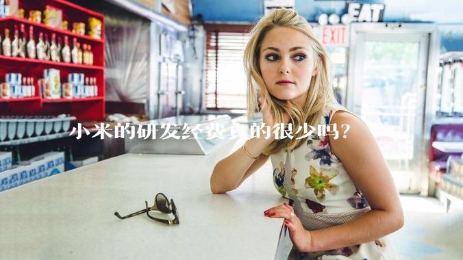 小米的研发经费真的很少吗？
