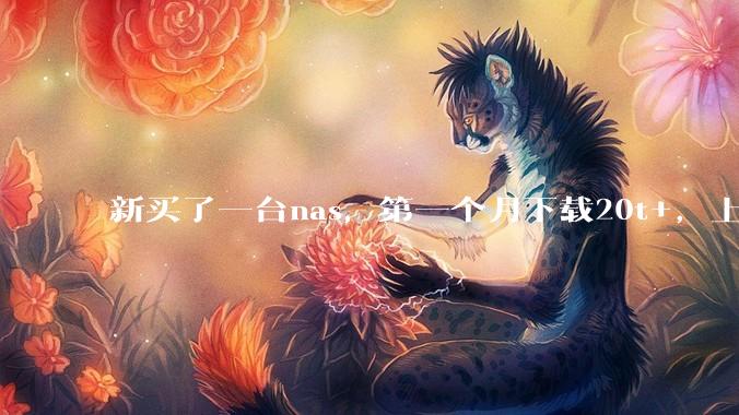新买了一台nas，第一个月下载20t+，上传5+，不会被网警盯上吧?