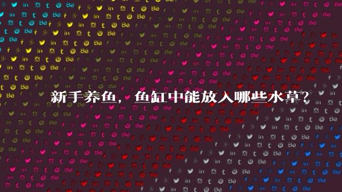 新手养鱼，鱼缸中能放入哪些水草？