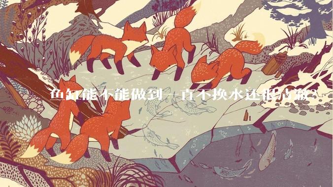 鱼缸能不能做到一直不换水还很清澈？