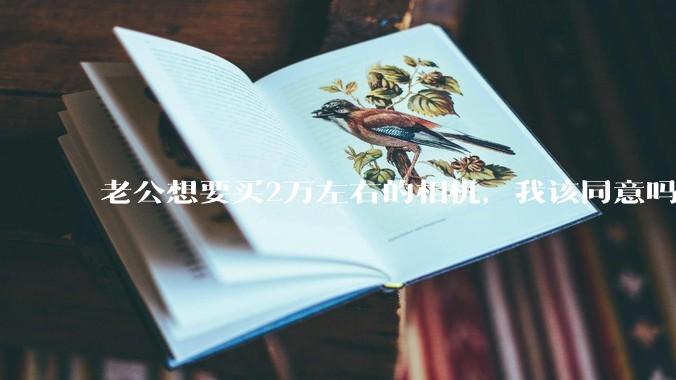 老公想要买2万左右的相机，我该同意吗？