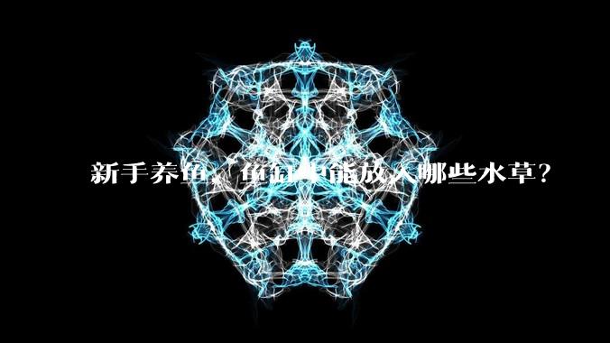 新手养鱼，鱼缸中能放入哪些水草？