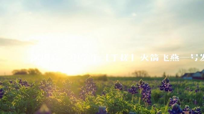 深圳高二中学生「手搓」火箭飞燕一号发射成功，突破 10KM 海拔高度，这属于什么水平？手搓火箭有多难？