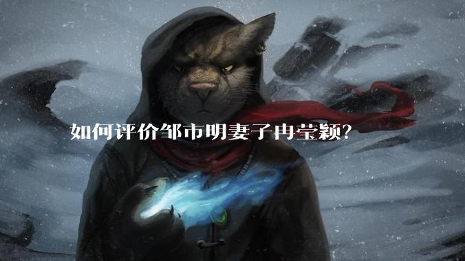 如何评价邹市明妻子冉莹颖？