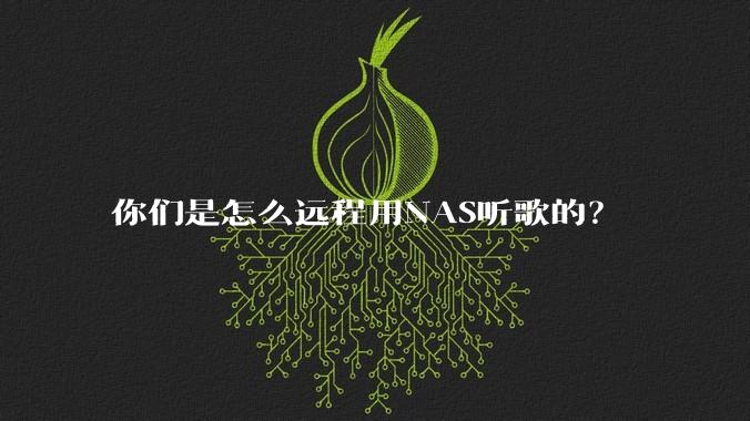 你们是怎么远程用NAS听歌的？