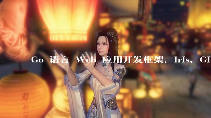 Go 语言 Web 应用开发框架，Iris、Gin、Echo，哪一个更适合大型项目？