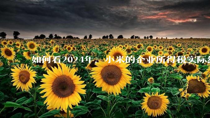 如何看2024年，小米的企业所得税实际纳税额超过华为？