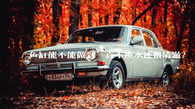 鱼缸能不能做到一直不换水还很清澈？
