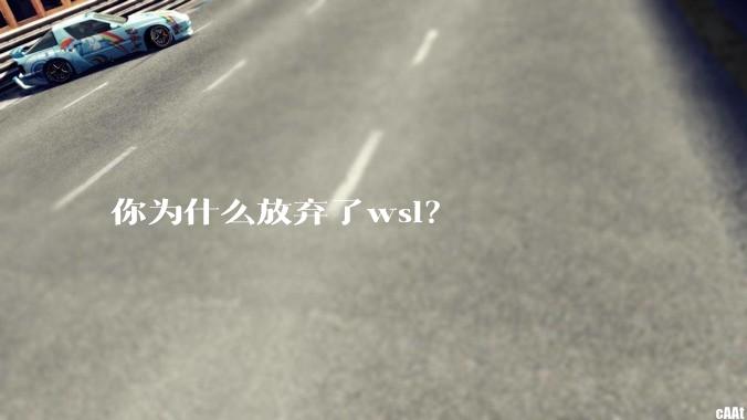 你为什么放弃了wsl？