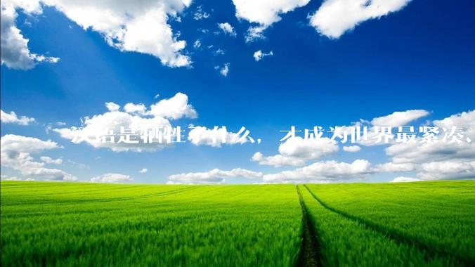 汉语是牺牲了什么，才成为世界最紧凑、最高效的语言？