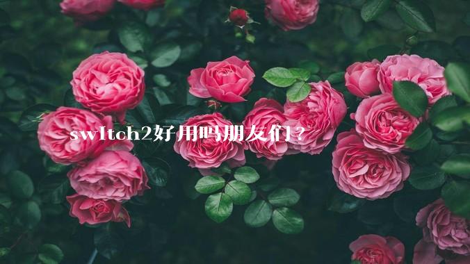 switch2好用吗朋友们?