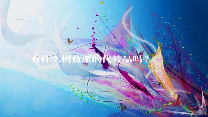 有什么树莓派的代替品吗?
