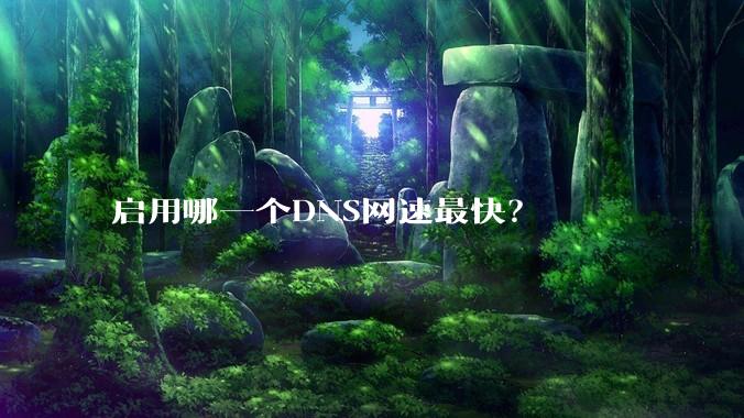 启用哪一个DNS网速最快？