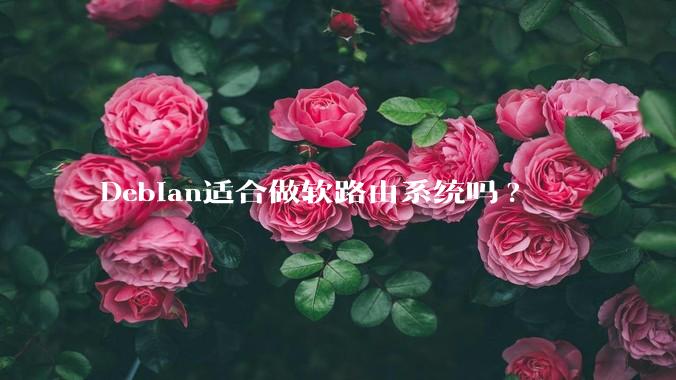 Debian适合做软路由系统吗?