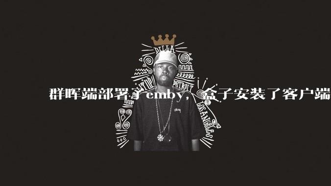 群晖端部署了emby，盒子安装了客户端播放蓝光电影为什么不能显示影片自带字幕？