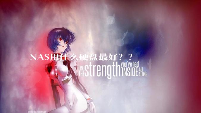 NAS用什么硬盘最好？？