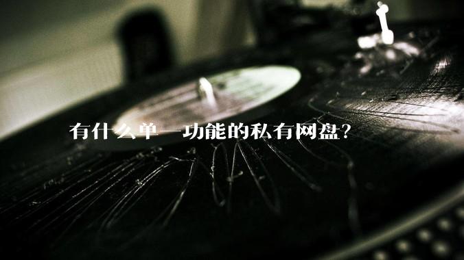 有什么单一功能的私有网盘？