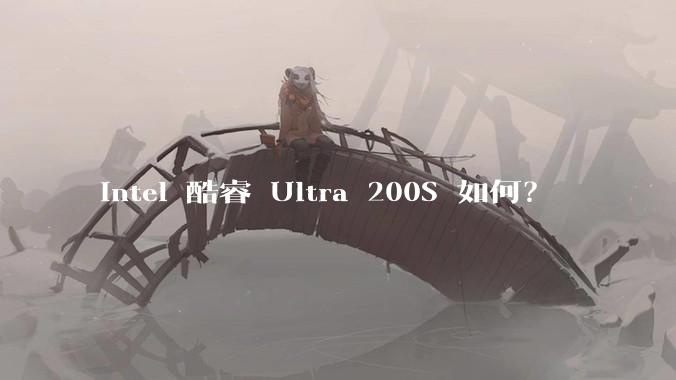 Intel 酷睿 Ultra 200S 如何？