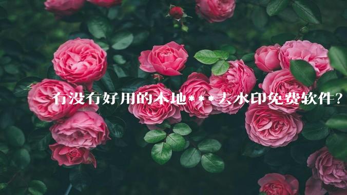 有没有好用的本地***去水印免费软件？