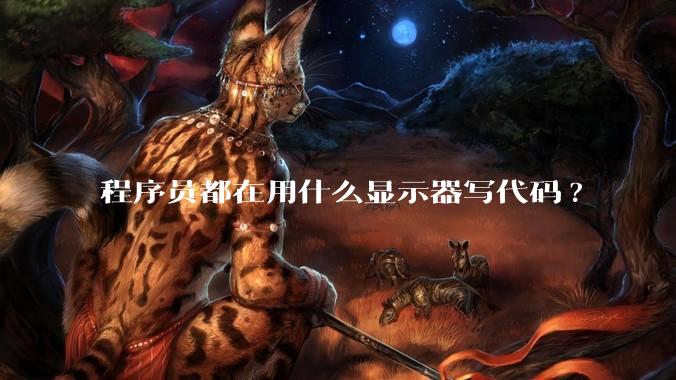 程序员都在用什么显示器写代码?