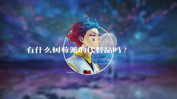 有什么树莓派的代替品吗?