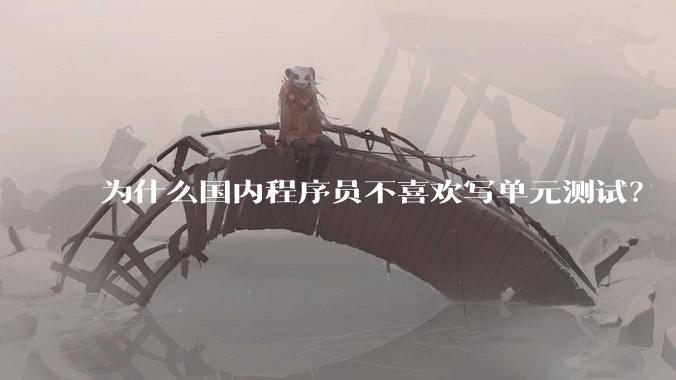 为什么国内程序员不喜欢写单元测试？
