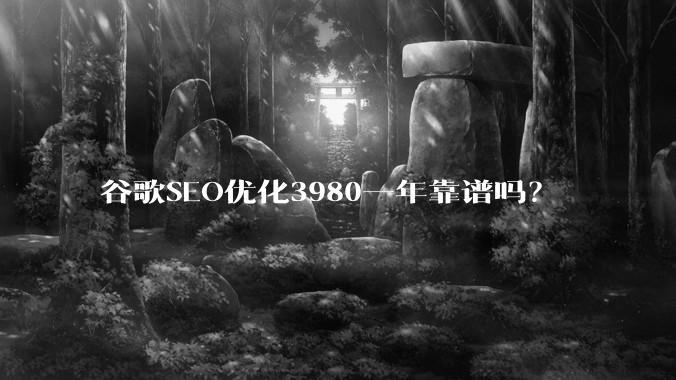 谷歌SEO优化3980一年靠谱吗？